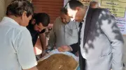 محافظ المنوفية: توريد 140 ألف طن قمح منذ بدء موسم الحصاد
