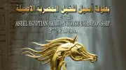 انطلاق النسخة الثانية من بطولة أصيل لجمال الخيول العربية المصرية بمشاركة 151 جوادا