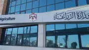 الزراعة توفر 16 ألف رأس ماشية للأضاحي واللحوم بأسعار تبدأ من 280 جنيهاً