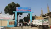 تسليم 165 ألف طن من الأقماح المحلية لصوامع بني سويف