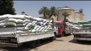 محافظ سوهاج يعلن طفرة قياسية في توريد القمح واستقبال 170 ألف طن