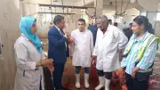 ذبح 180 عجلاً بمجازر الأقصر وتوزيع اللحوم مجاناً على 36 ألف أسرة بعيد الأضحى