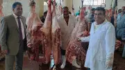 نحر 180 عجلًا وتوزيع لحومها مجانًا على 36 ألف أسرة بالأقصر