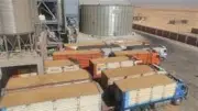 الوادي الجديد تسجل 183 ألف طن قمحًا موردة خلال موسم الحصاد