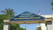 كفر الشيخ تستعد لعيد الأضحى بـ19 مجزرًا حكوميًا والذبح مجانًا