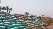 توريد 191 ألف طن قمح محلي بأسيوط منذ بدء الموسم