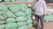 ضبط 2 طن قمح مهرب خارج بلاط بالوادي الجديد