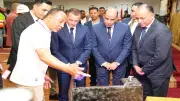 وزير العمل: مشروع كيما 2 نقلة نوعية بأحدث التقنيات العالمية