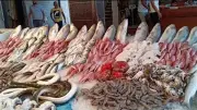 انخفاض البوري 20 جنيهاً.. أسعار السمك اليوم الإثنين 11 مايو 2026