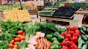 أسعار الخضراوات والفاكهة اليوم في سوق العبور الأربعاء 20-5-2026