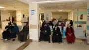 شفاء الأورمان تقدم 200 ألف خدمة علاجية لمرضى السرطان بالأقصر في 10 سنوات
