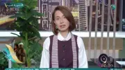 بسمة وهبة: ظهور فيروس هانتا على سفينة يعيد كابوس كورونا 2020