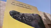 مواعيد زيارة متحف التمساح بالأقصر يوميًا وأسعار التذاكر 2026