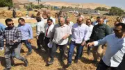 محافظ أسيوط يتفقد حصاد القمح 2026 ويشيد بجودة المحصول