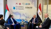 تنسيق مصري إماراتي في إسطنبول لتوحيد الرؤى قبل مؤتمر المياه 2026