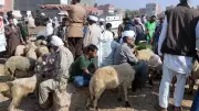 منافذ وزارة الزراعة لحجز وشراء أضاحي العيد 2026 في القاهرة والمحافظات