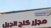تشغيل مجزر كلح الجبل بإدفو بتكلفة 21 مليون جنيه وطاقة 20 رأس ماشية بالساعة