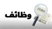 وزارة العمل توفر 215 وظيفة بشركة نسيج كبرى بدون مؤهل عال.. طريقة التقديم