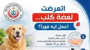 صحة قنا تخصص 22 مركزا للوقاية من السعار وتوفير المصل للمواطنين