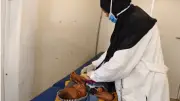 الكشف الطبي على 23 ألف مواطن بقوافل أسوان في الربع الأول
