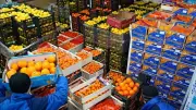ارتفاع الصادرات الغذائية المصرية للعراق إلى 236 مليون دولار في 2025