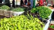 استقرار أسعار الخضروات بالوادي الجديد.. الطماطم بـ25 جنيها