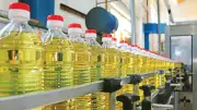 طرح زيت بسعر 27 جنيهاً وسكر بـ12.60 جنيهاً في 40 ألف منفذ تمويني