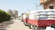 تموين بني سويف: توريد 270 ألف طن قمح محلي منذ انطلاق الموسم