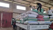 الدقهلية تسجل رقماً قياسياً بتوريد 292 ألف طن قمح محلي للصوامع