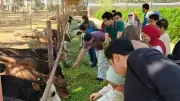 295 بلاغاً و75 ندوة توعوية لحماية الطفل بالشرقية خلال شهري مارس وأبريل