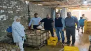 ضبط 3 أطنان مقطعات دواجن غير صالحة للاستهلاك في حملات مكثفة بالجيزة