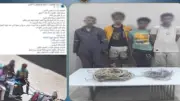 ضبط 3 أشخاص سرقوا أسلاك الكهرباء بعربة كارو بالسويس