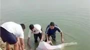 هربانين من الحر.. انتشال جثث 3 غرقى في النيل بأسوان