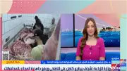 تخفيضات تصل إلى 30% على السلع واللحوم في منافذ الزراعة بعيد الأضحى