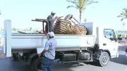البحيرة: تشغيل 30 مخبزًا من 5 صباحًا و24 مخبزًا من 8 صباحًا لتخفيف الزحام