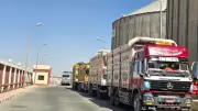 الوادي الجديد: توريد 303 آلاف طن قمح وتجهيزات لتركيب أشعة مقطعية بالفرافرة
