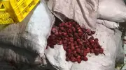 ضبط 31 طن فراولة مجهولة المصدر داخل مصنع غير مرخص في الإسماعيلية