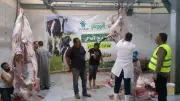 محافظ أسيوط يتابع نحر 327 رأس ماشية بالمجازر الحكومية في ثاني أيام العيد