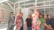 تباين أسعار اللحوم في بني سويف من 330 إلى 450 جنيهاً مع قرب عيد الأضحى