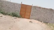إزالة 345 حالة تعدٍ على الأراضي الزراعية في أسبوع ومتابعة ميدانية بـ5 محافظات