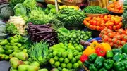 ارتفاع الصادرات الزراعية المصرية إلى 3.7 مليون طن والموالح في المقدمة