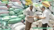 تموين الشرقية: توريد 375 ألف طن قمح محلي حتى الآن