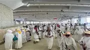 40% من حجاج السياحة يتوجهون للمدينة المنورة بعد انتهاء المناسك
