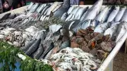 الجمبري يتجاوز 400 جنيه والبلطي عند 105.. تحركات جديدة في أسعار الأسماك اليوم