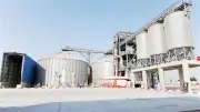 الحكومة المصرية تجهز 400 نقطة لاستلام محصول القمح مع بداية موسم الحصاد