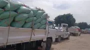 توريد 41 ألف طن قمح للشون والصوامع بالبحيرة حتى 3 مايو