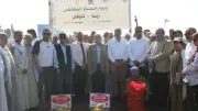 المنيا تحصد 44 ألف فدان بطاطس وتصدر لأكثر من 90 دولة