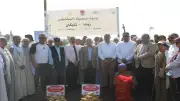 محافظ المنيا يتابع حصاد 44 ألف فدان بطاطس تصدر لـ90 دولة