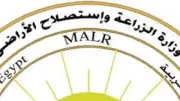 متحدث الزراعة: فتح 466 مجزرًا حكوميًا مجانًا للمواطنين في عيد الأضحى