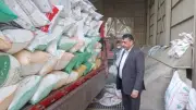 محافظ المنوفية: توريد 48 ألف طن قمح منذ بدء موسم الحصاد